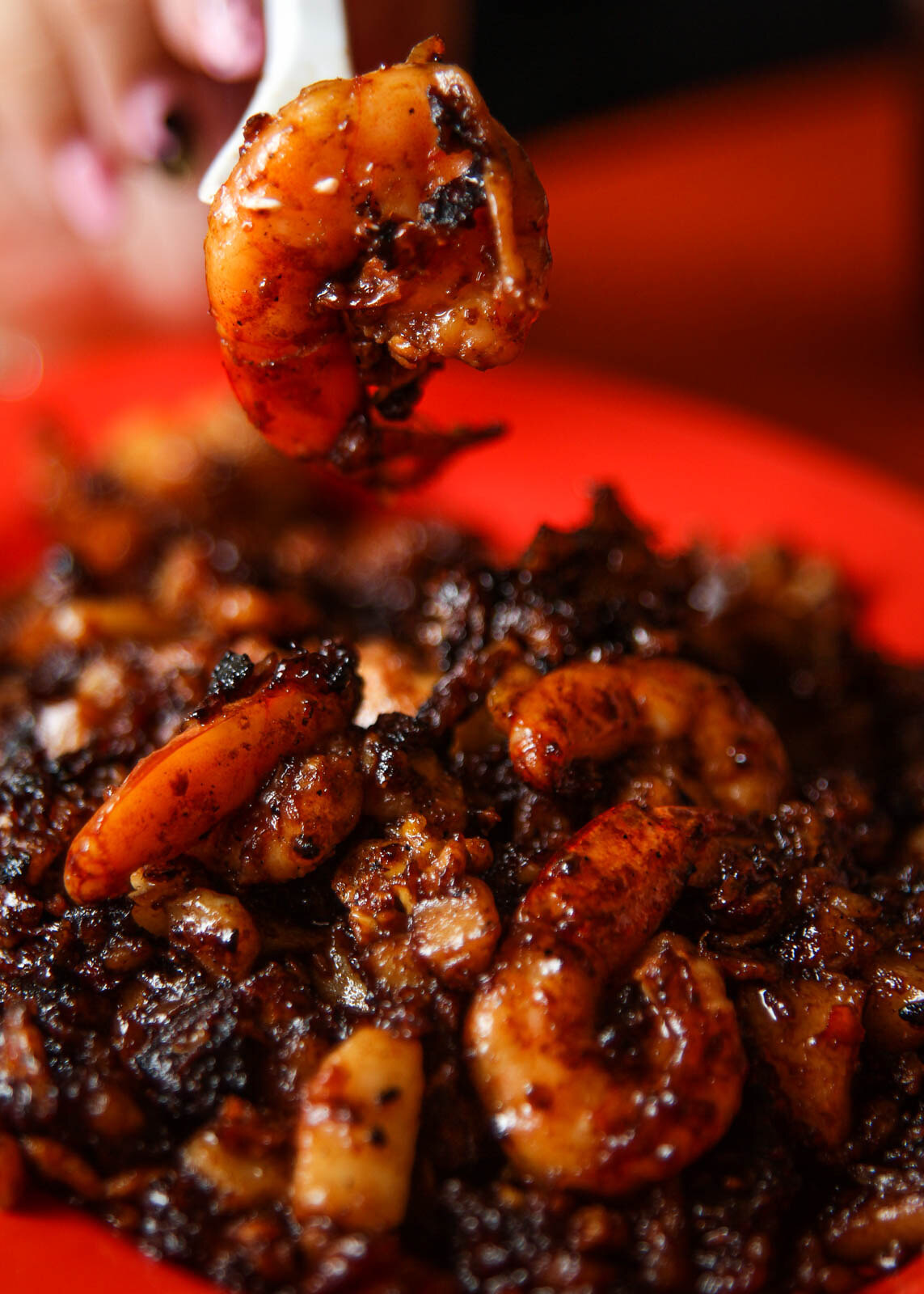 Bedok Song Zhou Fried Carrot Cake_Portrait