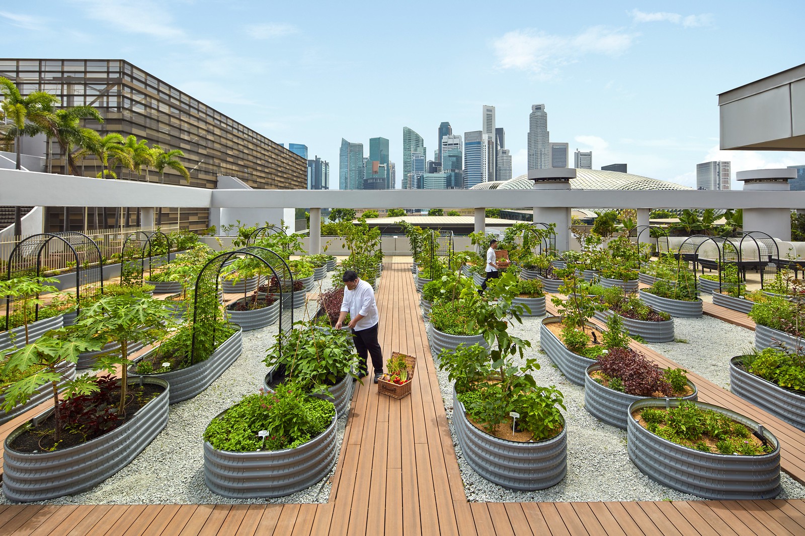 Urban Farm at PARKROYAL COLLECTION Marina Bay